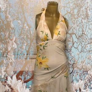 Spring Dress